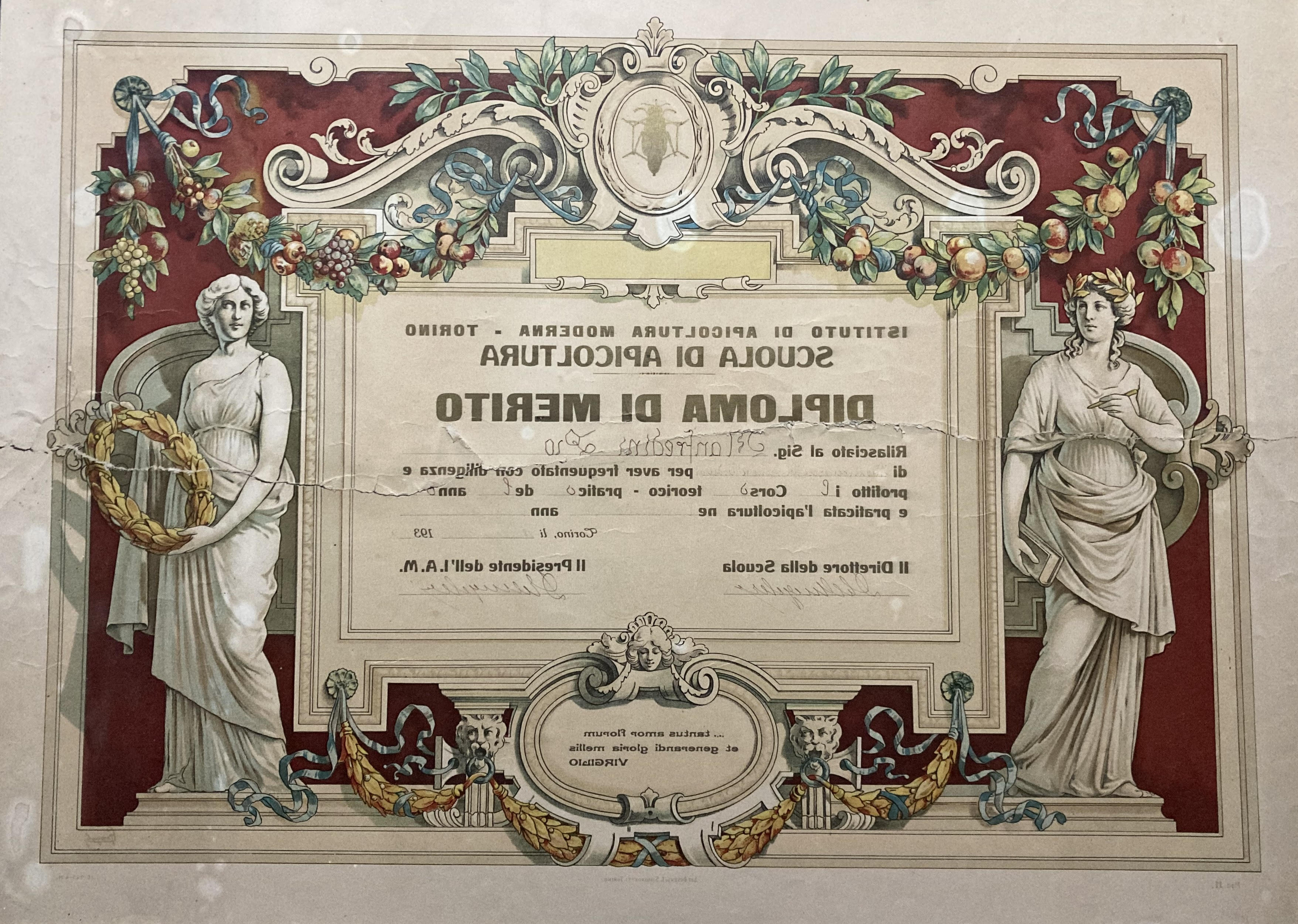 Diploma Pio